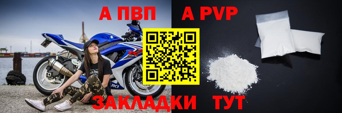 Альфа ПВП СК Избербаш